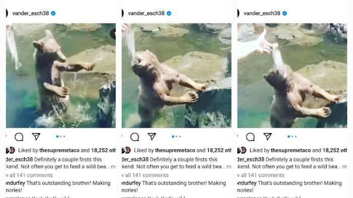 via: vander_esch38, Instagram